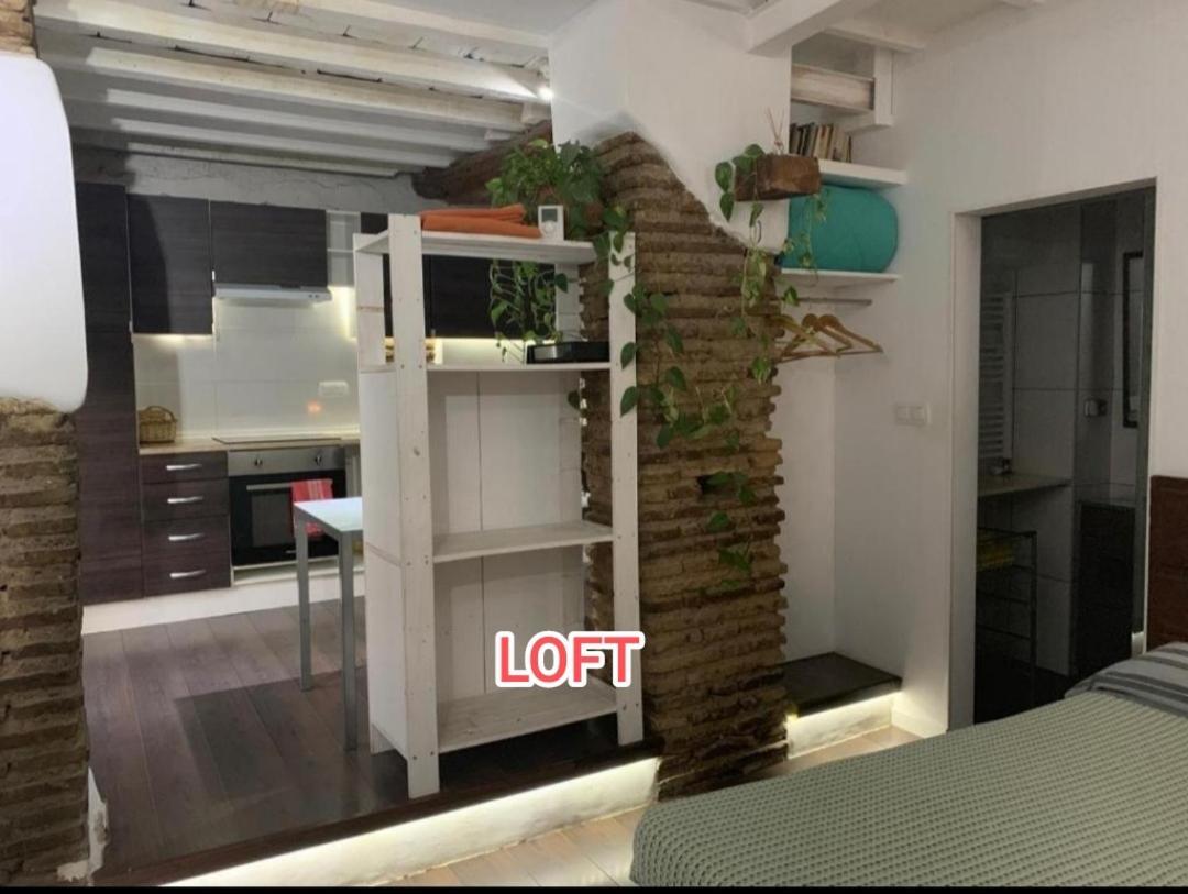 loft increíble en el centro limpieza ozono Apartment Granada Exterior foto